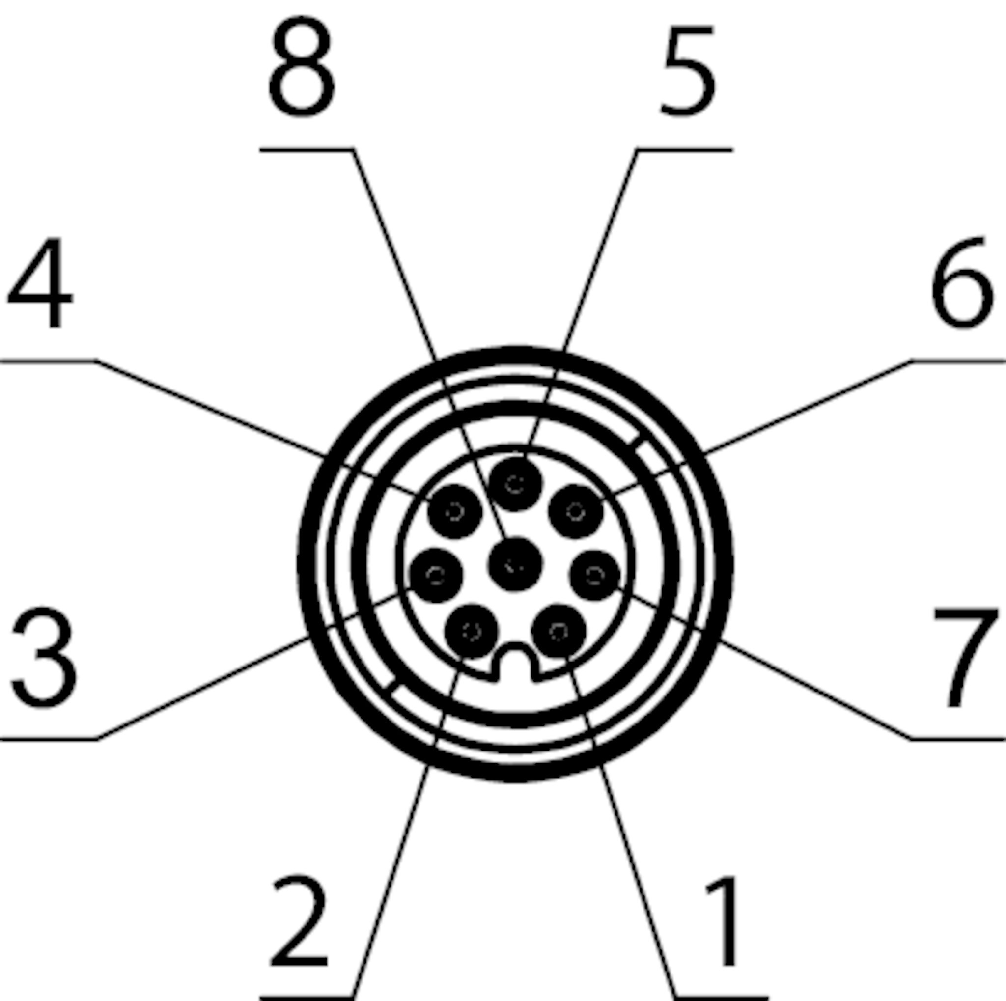 M12 Connector Pin Layout